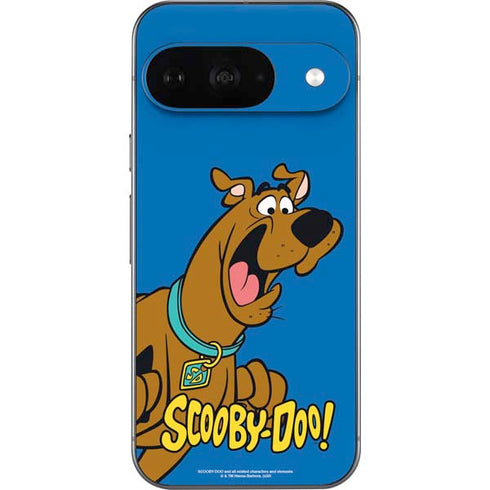 Scooby Doo Scooby-Doo Google Pixel 9 Skin
